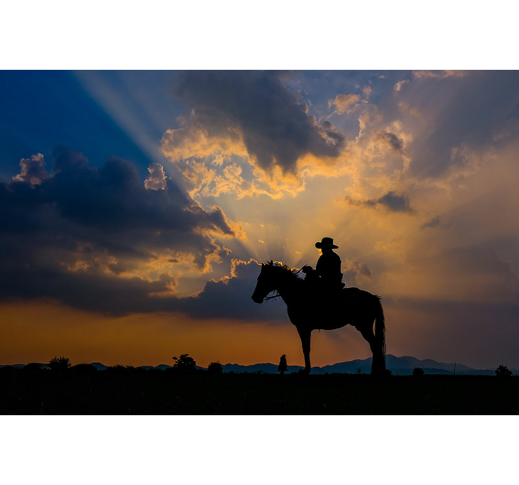 Mural de parede animais cavaleiro no cavalo - TenStickers