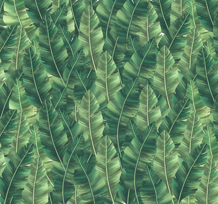 Mural de parede da natureza grandes folhas - TenStickers