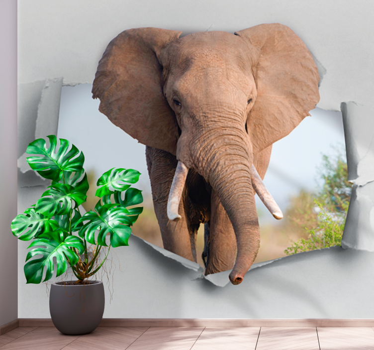 Murais de Parede 3D Elefante quebrando a parede - TenStickers