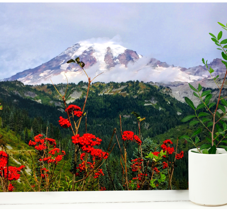 Fotomurais de paisagens montanha coberta de neve - TenStickers