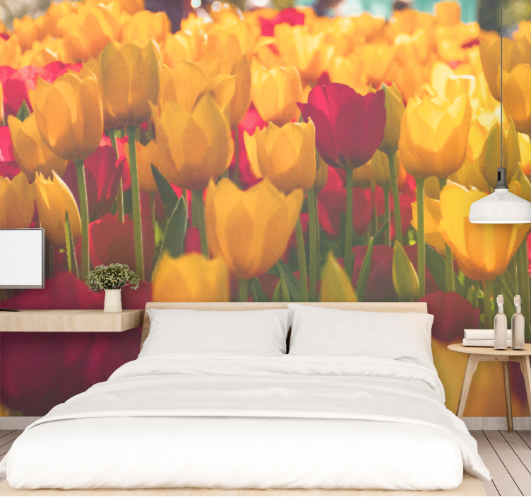 Fotomurais flores campos de tulipas em flor - TenStickers