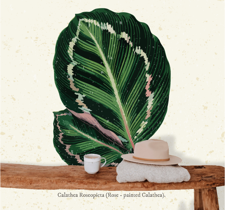 Fotomurais flores exibição de folhas de calathea - TenStickers