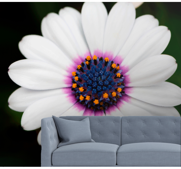 Fotomurais flores flor branca em flor - TenStickers