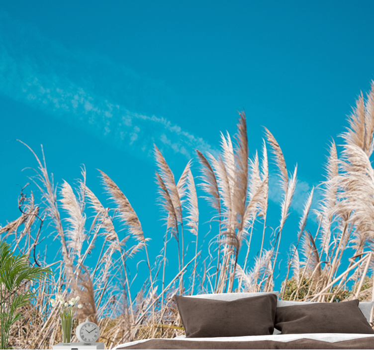 Fotomurais flores serenidade das pampas - TenStickers