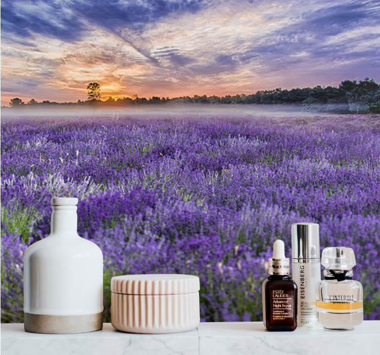 Fotomurais de paisagens Cores estéticas do campo lavanda - TenStickers