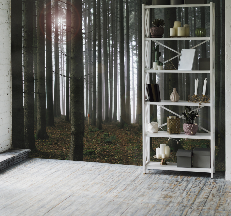 Fotomurais de paisagens Floresta - TenStickers