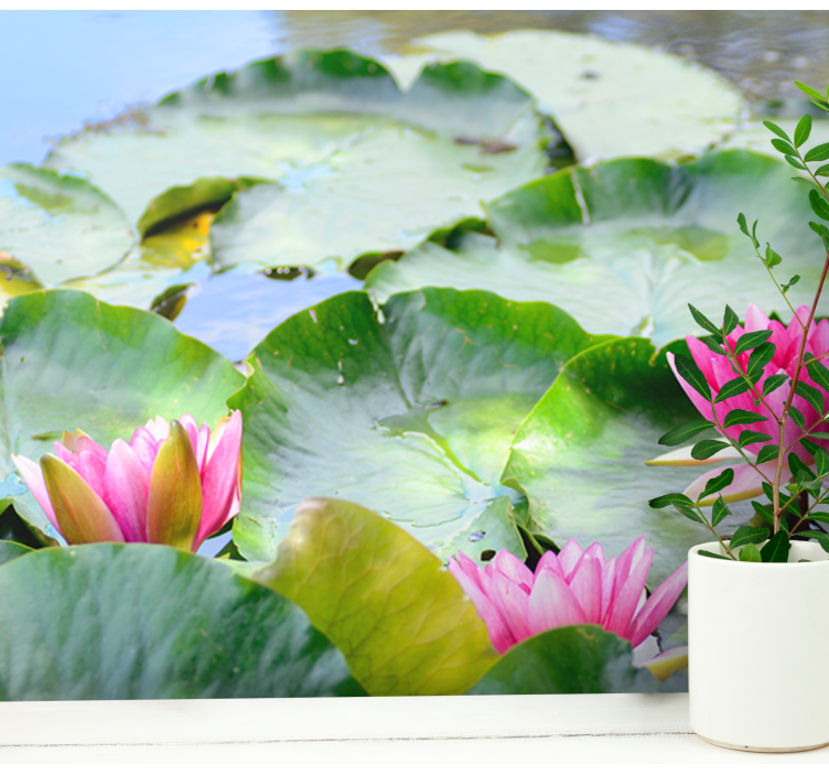 Fotomurais flores Flores de lótus forradas - TenStickers