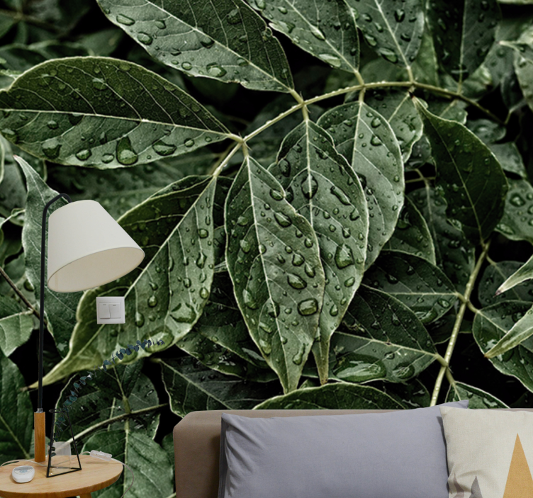 Fotomurais flores Folhas com gotas de orvalho - TenStickers