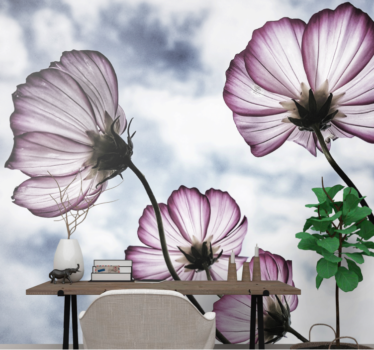 Fotomurais flores produtoelegante de flores roxas cosmos - TenStickers
