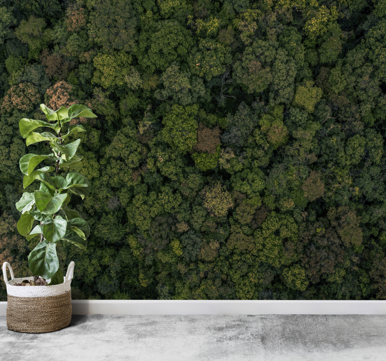 Mural de parede decorativo Paisagem Florestal - TenStickers