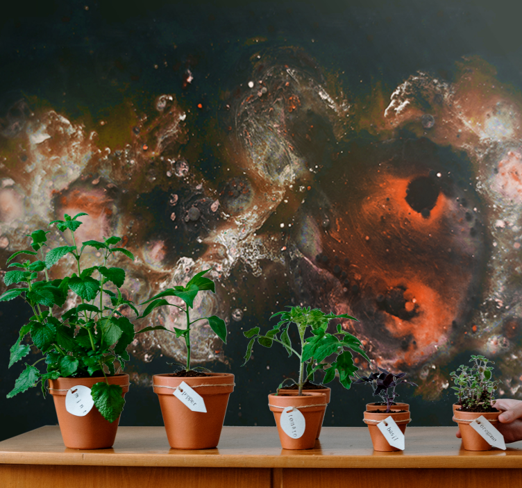 Mural de parede abstrato padrões fluídos celestiais - TenStickers