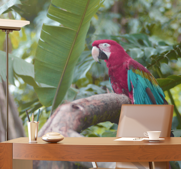 Mural de parede animais arara colorida - TenStickers