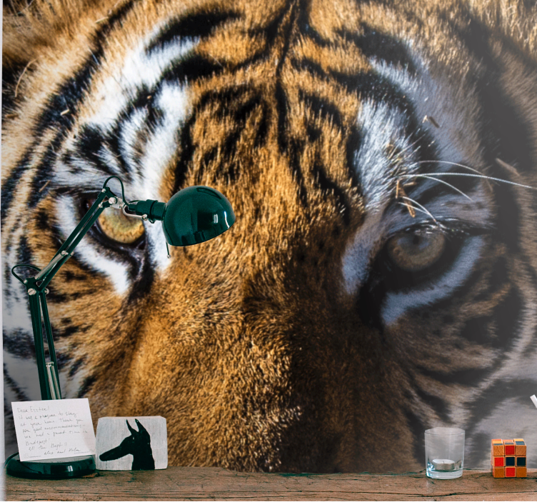 Mural de parede animais close-up de tigre magnífico - TenStickers