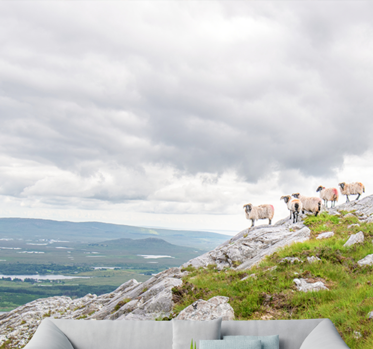 Mural de parede animais cordeiros nas encostas - TenStickers