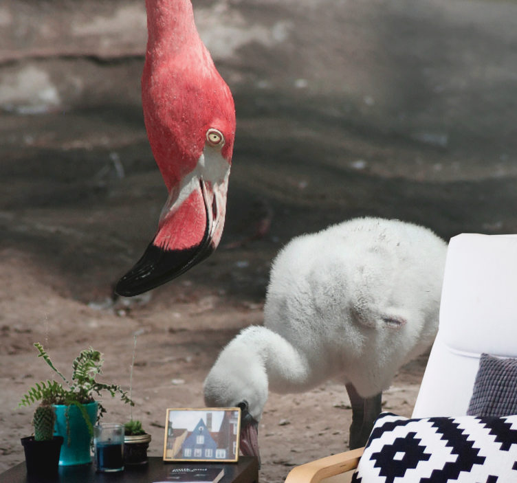 Mural de parede animais filhote de flamingo - TenStickers