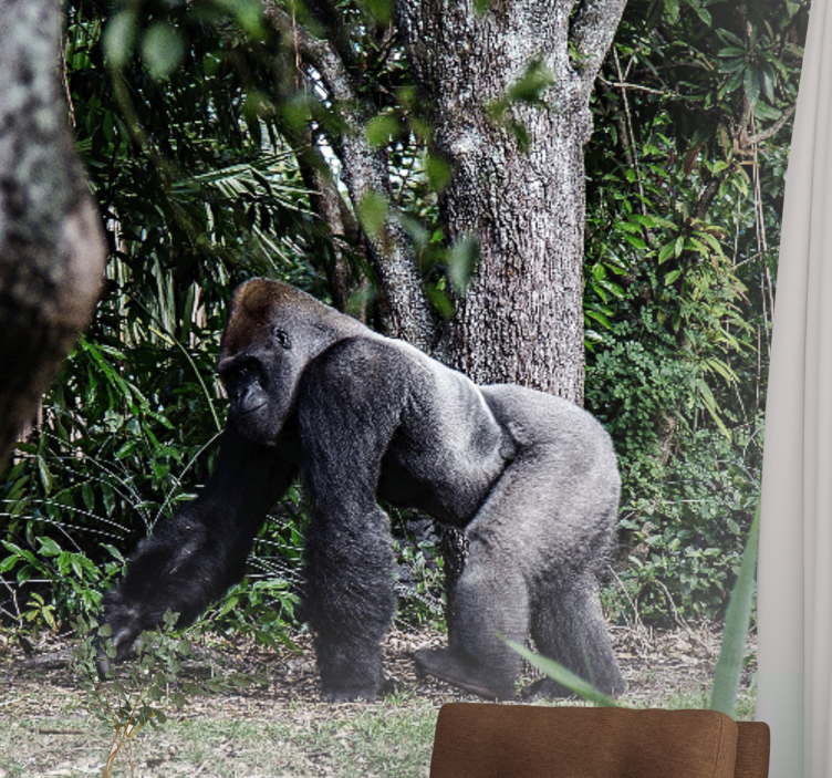 Mural de parede animais gorila majestoso passeando - TenStickers