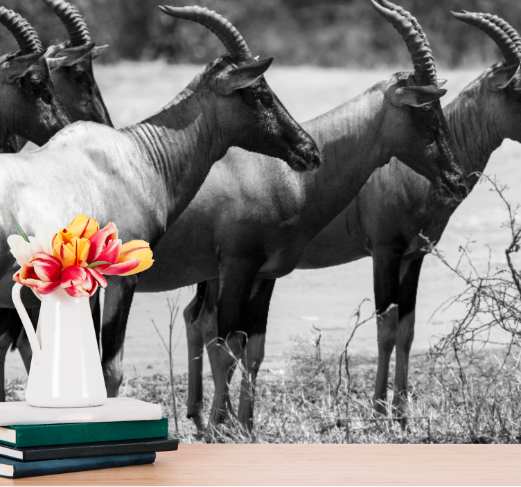 Mural de parede animais manada de antílopes africanos - TenStickers