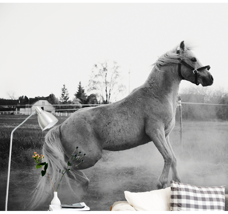 Mural de parede animais pônei galopante - TenStickers