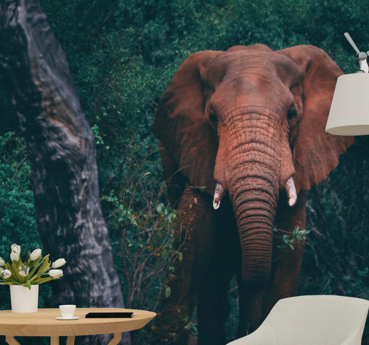 Mural de parede animais presença do elefante majestoso - TenStickers