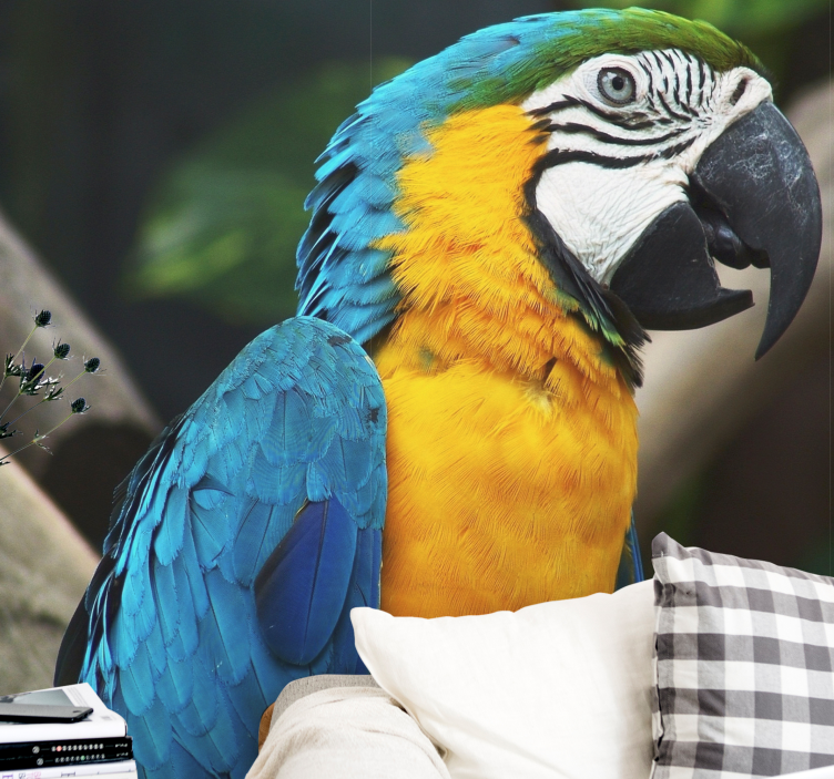 Mural de parede animais retrato de pássaro arara - TenStickers