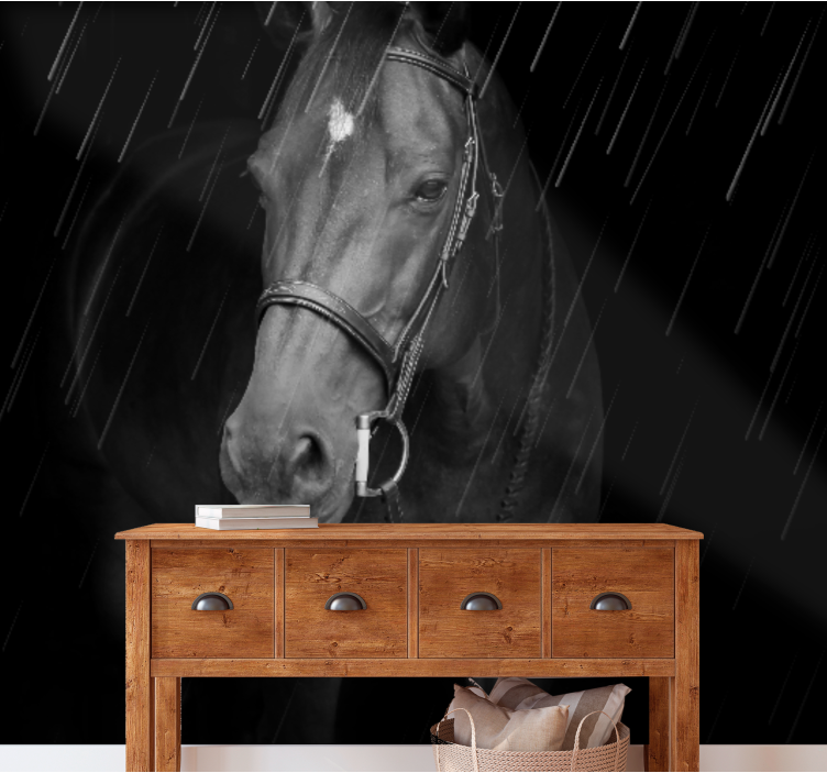 Mural de parede animais retrato equino regal - TenStickers