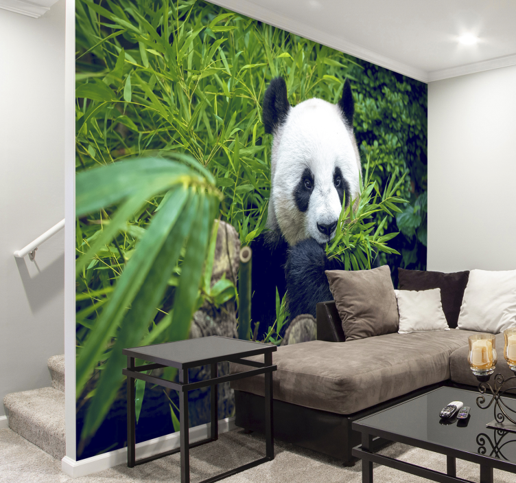 Mural de parede animais santuário de bambu panda - TenStickers