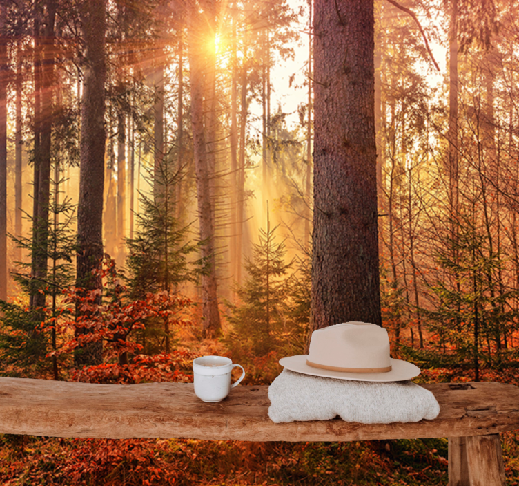 Mural de parede bosques brilho do bosque ensolarado - TenStickers