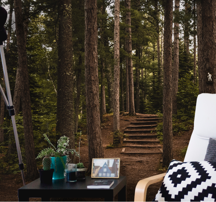 Mural de parede bosques caminho de serenidade - TenStickers