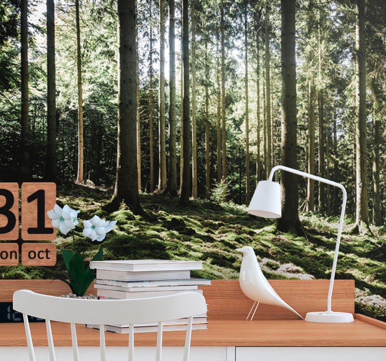Mural de parede bosques cena de floresta tranquila - TenStickers