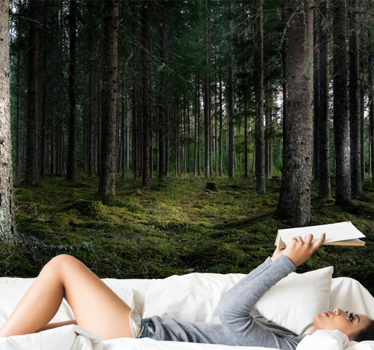 Mural de parede bosques paisagem serena - TenStickers