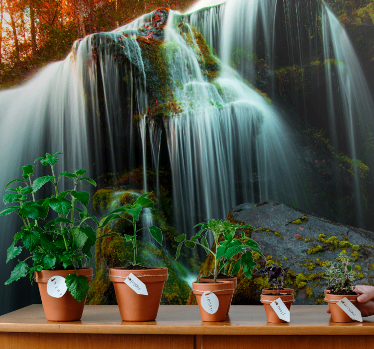 Mural de parede cascatas Água suave que cai - TenStickers