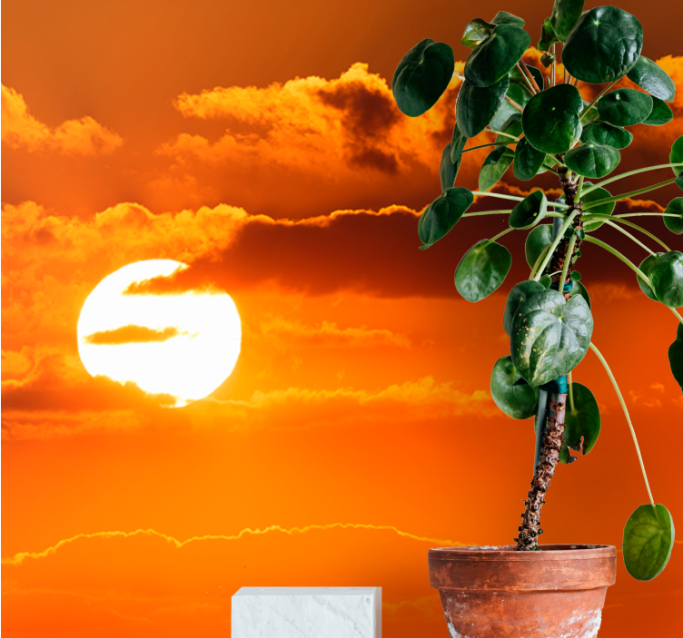 Mural de parede céu pôr do sol sobre nuvens - TenStickers