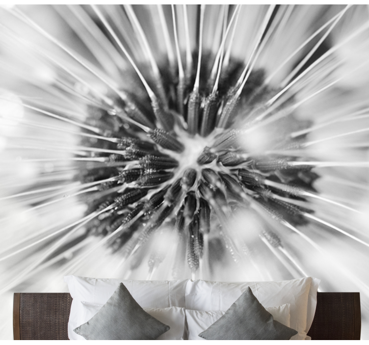 Mural de parede dente de leão explosão de sementes - TenStickers