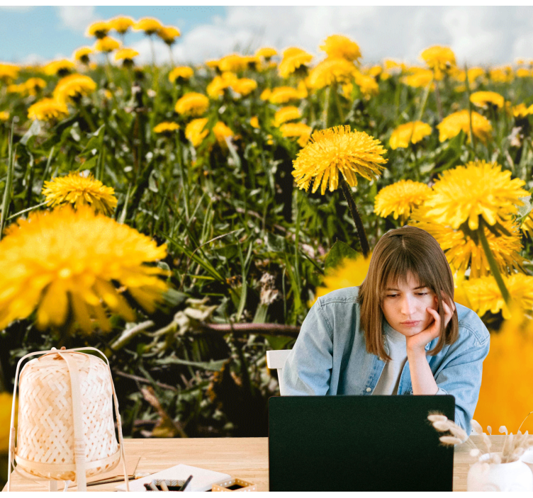 Mural de parede dente de leão vista de campo - TenStickers