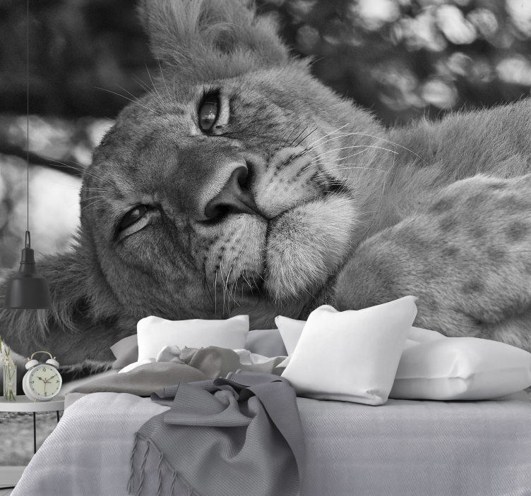 Mural de parede leões leão majestoso relaxante - TenStickers