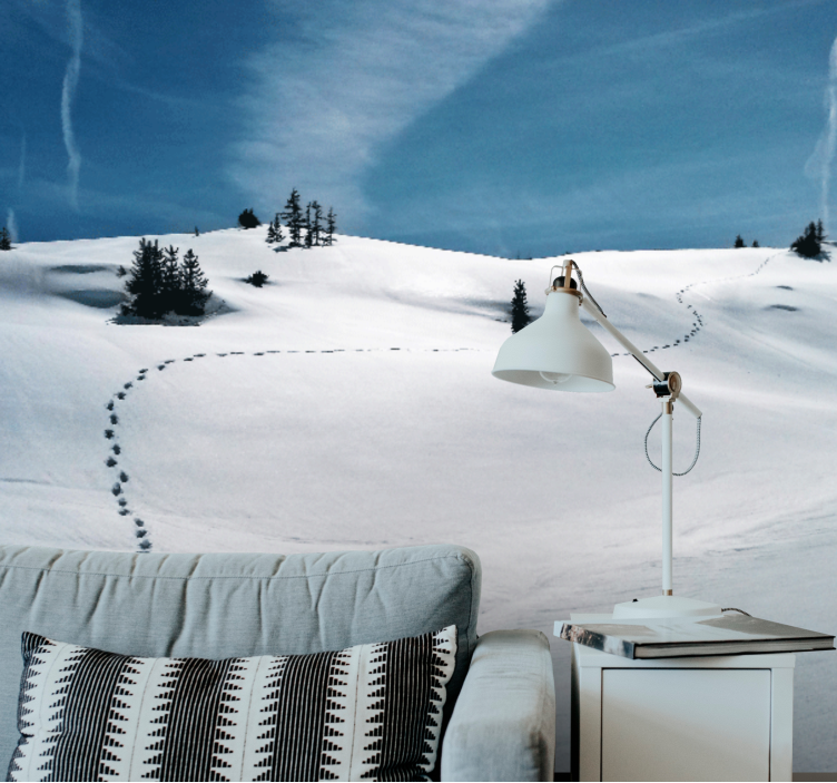 Mural de parede montanha caminho da montanha neve - TenStickers