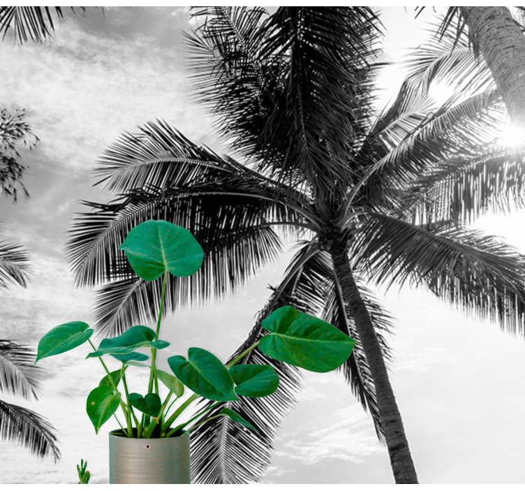 Mural de parede mar cena de palmeira tropical - TenStickers