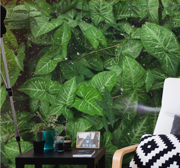 Mural de parede natureza composição de folhas vivas - TenStickers