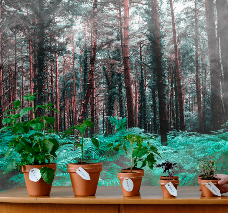 Mural de parede natureza selva verdejante - TenStickers