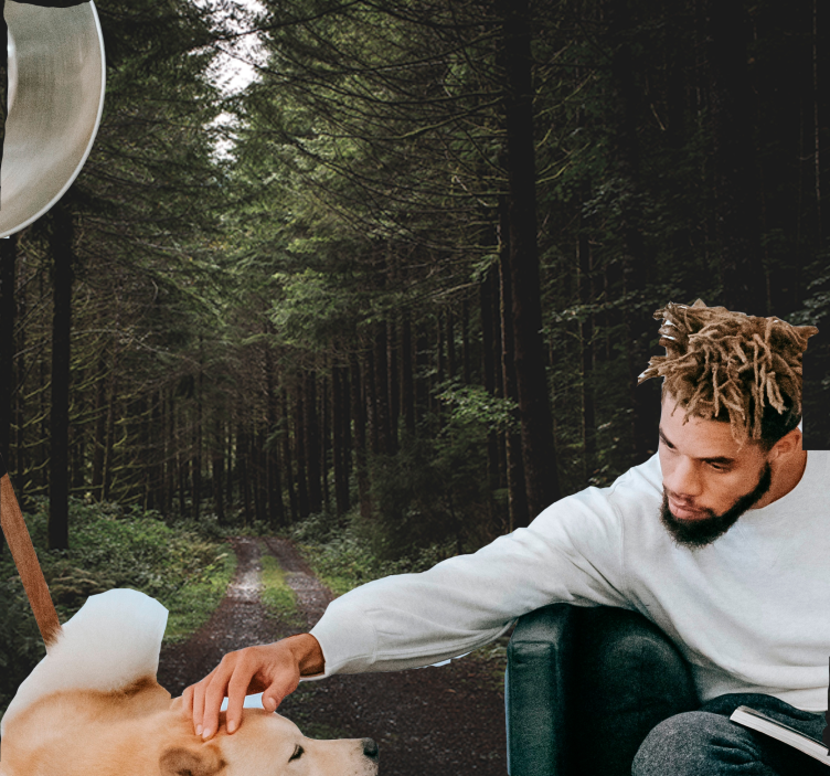 Mural de parede natureza trilha florestal verdejante - TenStickers