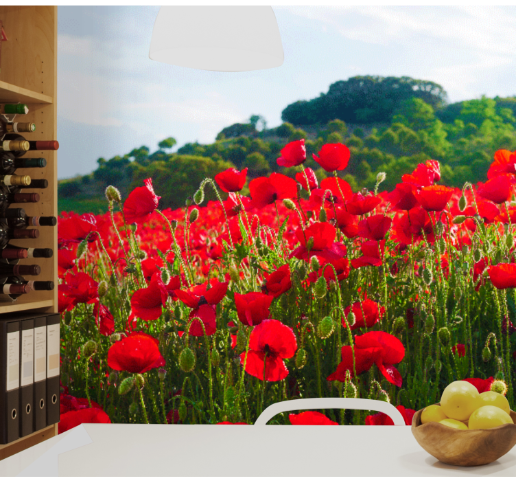 Mural de parede papoilas campo de papoilas vermelhas - TenStickers