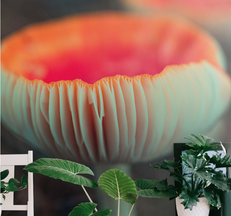 Mural de parede papoilas flor de papoila elegante - TenStickers