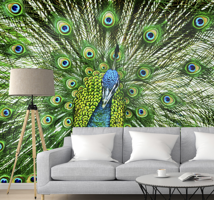 Fotomural decoratvo de aves pavão colorido - TenStickers