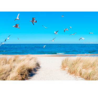 Fotomurais de paisagens Caminhada Matinal pela Praia - TenStickers
