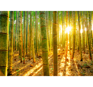 Fotomural para sala Bambu ao pôr do sol - TenStickers