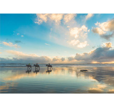 Fotomurais de paisagens cavaleiros à beira-mar - TenStickers