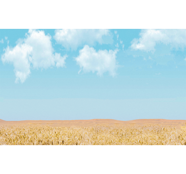 Fotomurais de paisagens céu e trigo - TenStickers