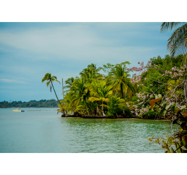 Fotomurais paisagistícos Praia paradisíaca na colômbia - TenStickers