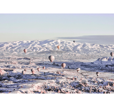 Fotomurais de paisagens paisagem de balões de ar quente - TenStickers