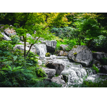Fotomurais paisagistícos Floresta relaxante - TenStickers